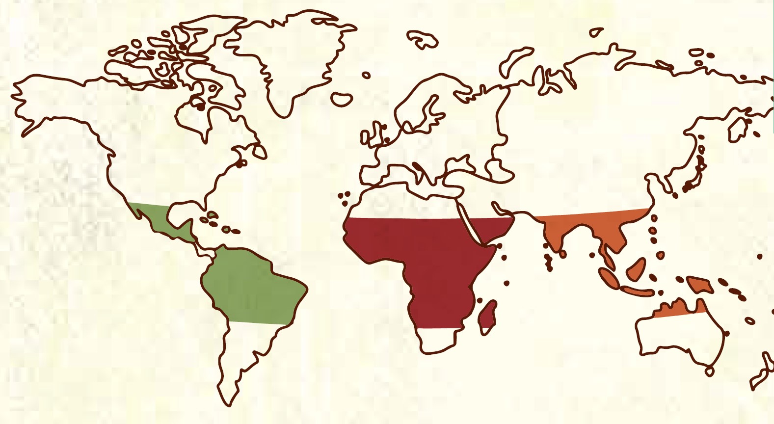 De koffiegordel op een wereldkaart. © Tripleclick Design.