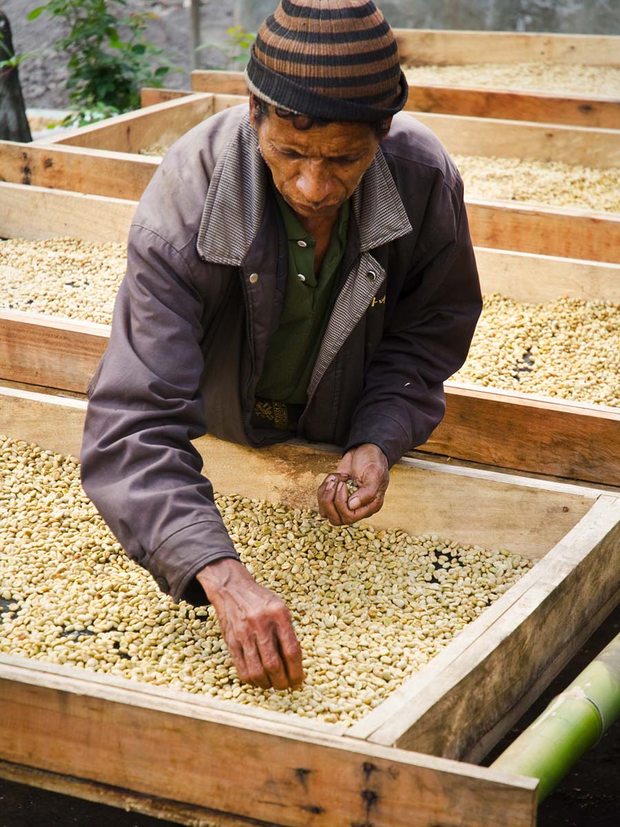 Kleine boeren werken meestal ambachtelijk. Hoewel hun opbrengsten hierdoor kleiner zijn, resulteert dit vaak in de beste koffies. Collectie Rikolto – Vredeseilanden.