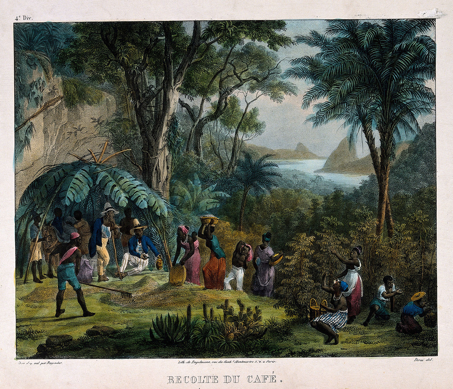 Arbeiders oogsten koffie op een Midden-Amerikaanse plantage. Deroi naar J. M. Rugendas, circa 1850. Wellcome Library nr. 25222i.